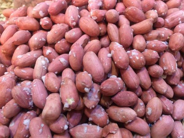 فروش بادام زمینی به قیمت روز بازار در کشور