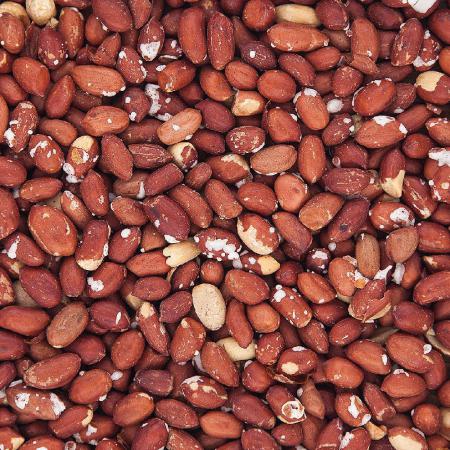 لیست قیمت فروش بادام زمینی صادراتی در کشور